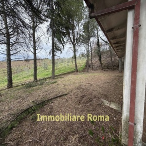 Terre Roveresche, 6 Stanze da Letto Stanze da Letto, 0 ,2 BathroomsBathrooms,Case indipendenti,Vendita,0,1020 Terre Roveresche, 6 Stanze da Letto Stanze da Letto, 0 ,2 BathroomsBathrooms,Case indipendenti,Vendita,0,1020