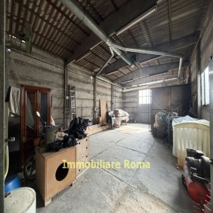 Fano, 4 Stanze da Letto Stanze da Letto, 0 ,3 BathroomsBathrooms,Appartamento,Vendita,0,1030
